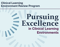 Pursuing Excellence in Clinical Learning Environments